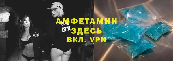 ПСИЛОЦИБИНОВЫЕ ГРИБЫ Абаза