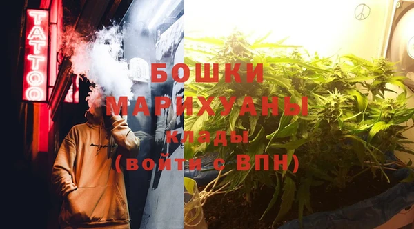ПСИЛОЦИБИНОВЫЕ ГРИБЫ Абаза