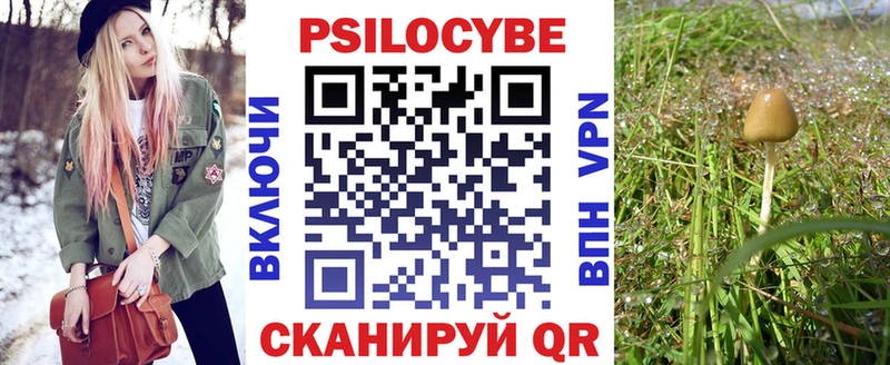 MEGA рабочий сайт  Яранск  Псилоцибиновые грибы Psilocybine cubensis 